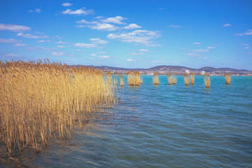 Fototapeta na wymiar The shore of Lake Balaton on the Tihany peninsula. Hungary, Europe