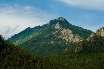 Beautiful mountain Slope peak with rocks and pine forest