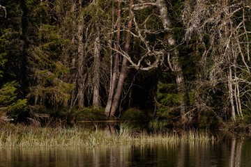 Morning sun catching river mouth.