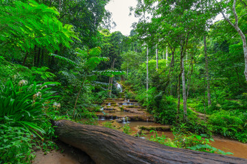 Waterfall in Tropical Rain forest ,Pa Wai Waterfall,Tak Province, Thailand
