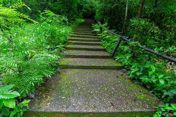 Obraz premium Waterfall in Tropical Rain forest ,Pa Wai Waterfall,Tak Province, Thailand