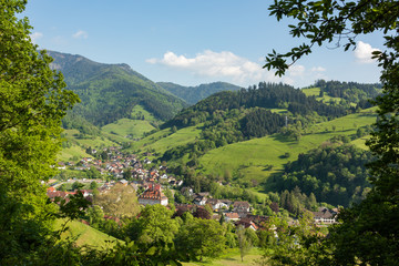 Fototapeta premium The small village Muenstertal in the Black Forest