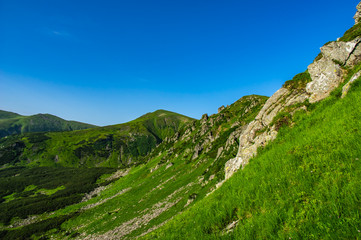 Fototapeta na wymiar Rocks in the Carpathian mountains