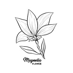 Magnolia flower in blossom, beautiful home decor and interior design, isolated illustration vector. Floral outline contour drawing for laser cuttling files. Spring blossom. Wildflower botanical plant.