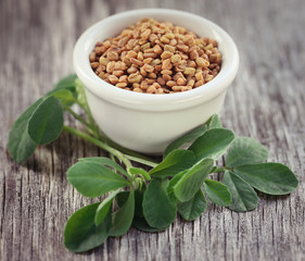 Fenugreek seeds with green leaves