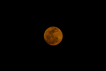 The red full  moon at the night