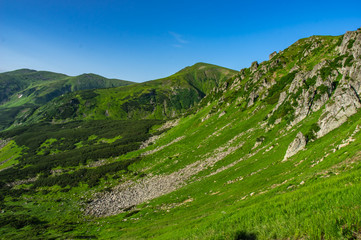 Fototapeta na wymiar Rocks in the Carpathian mountains