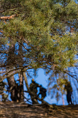 Game - an imitation of hostilities between the Irish National Army of Protestants and the airsoft game of the British Regular Army.