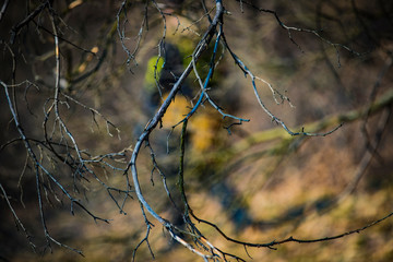 Game - an imitation of hostilities between the Irish National Army of Protestants and the airsoft game of the British Regular Army.