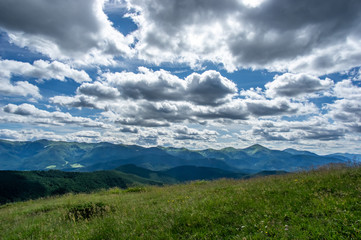 Fototapeta premium Mountain meadow on a sunny day
