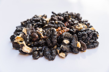 Pile of black walnuts isolated on white background.