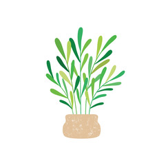 Houseplant with potted. Vector illustration isolated. EPS10