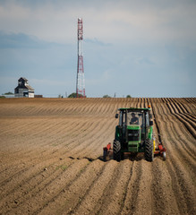 Obraz premium Agriculture business. Field of vegetables