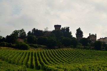 Fototapeta na wymiar Landscape of Monferrato hills where grows grapes for Barbera