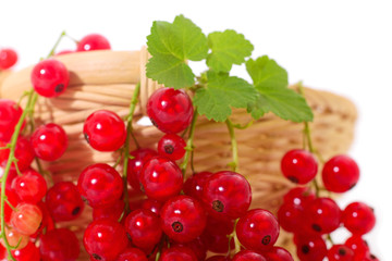 Red currant fruit.