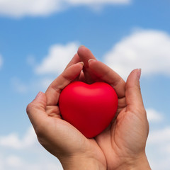 Fototapeta premium Female hands gently hold a red heart, the concept of health, life and love, against the blue sky