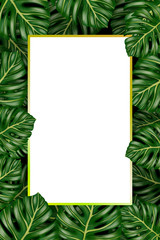 Tropical background hand drawn illustration green leaf parrot bird monstera 