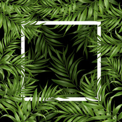 Tropical background hand drawn illustration green leaf parrot bird monstera 