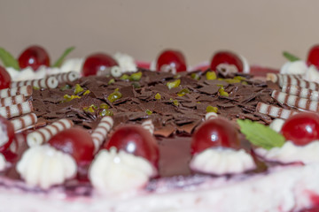 Nahaufnahme einer Erdbeersahnetorte garniert mit frischen Erdbeeren, Deutschland