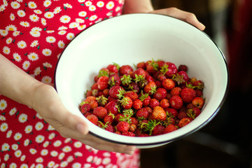 woman holding a bowl of strawberries