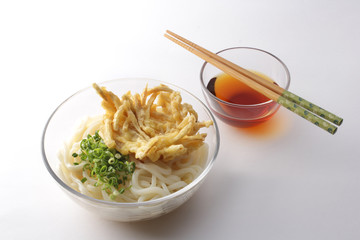 透明なガラスの器に入ったごぼう天入りのざるうどん