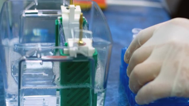 Close-up scientist hands in gloves sorts small test tubes in a laboratory tripod. Scientific experiment with human DNA.