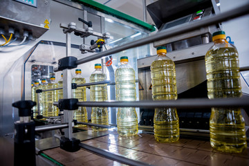 Bottling line of sunflower oil in bottles. Vegetable oil production plant. High technology.