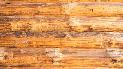 Vintage wooden background - a wall of horizontal logs light brown color, copy space
