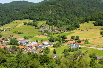 Fototapeta premium The small village Muenstertal in the Black Forest