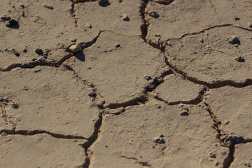 Part of a Huge Area of Dried Land Suffering from Drought - in Cracks