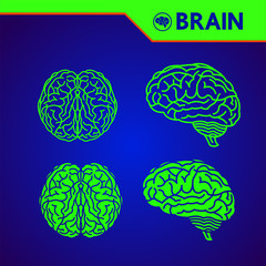 The creative human brain grand vector illustration.