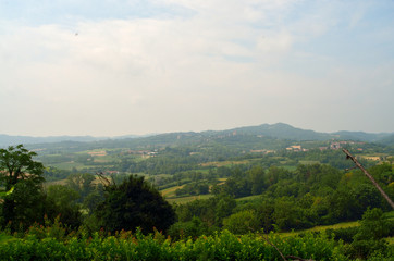 Obraz premium Landscape of Monferrato hills where grows grapes for Barbera