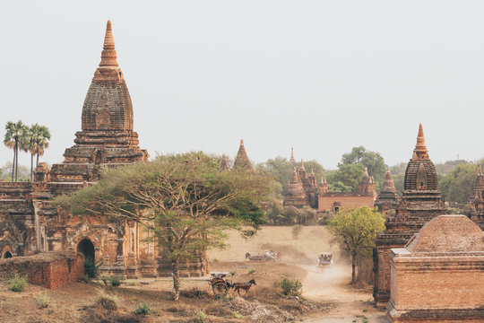 Horse carriages driving tourists through ancient temples and pagodas in Bagan, Myanmar
