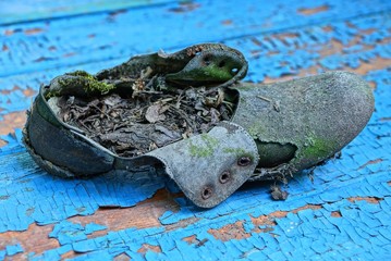  gray dirty old shoe stands on a blue table