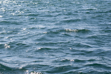 Naklejka premium waves in the sea, side view