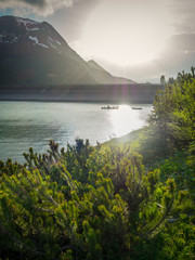 Fototapete bei efototapeten.de bestellen   