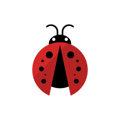 Ladybug or ladybird vector graphic illustration, isolated. Cute simple flat design of black and red lady beetle. Vector EPS 10