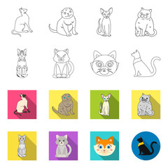 Vector design of pet and sphynx sign. Collection of pet and fun vector icon for stock.