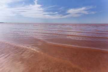 Pink water of salt Lake. Healing water. Crimea.