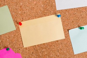 Corkboard color size paper pin thumbtack tack sheet billboard notice board