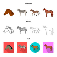 Isolated object of trot and running icon. Set of trot and clipart stock symbol for web.