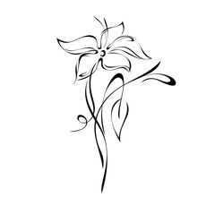 stylized flower with large petals on the stem with leaves and curls in black lines