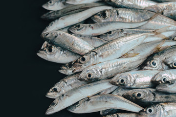 Obraz premium Fresh organic fish on ice on the market on dark vintage background close-up.