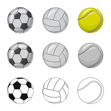 Isolated object of sport and ball symbol. Set of sport and athletic stock symbol for web.