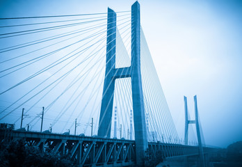 Fototapeta premium The high-speed train runs at high speed on the railway bridge. The Yangtze River Bridge of Chongqing Railway, China