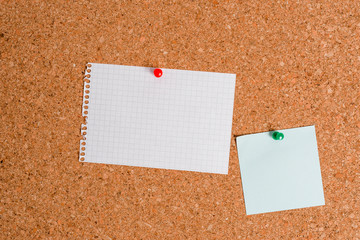 Corkboard color size paper pin thumbtack tack sheet billboard notice board