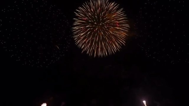 Fireworks background at night