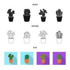 Vector design of cactus and pot sign. Collection of cactus and cacti stock symbol for web.