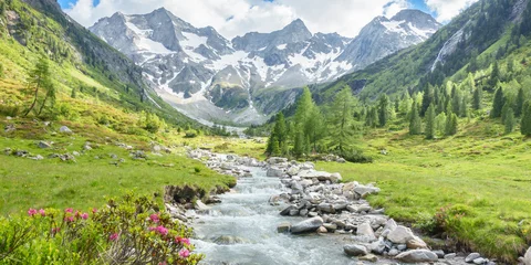 Fotobehang Panorama van een wandelgebied in de Alpen met een bergstroom en gletsjer op de achtergrond © by paul