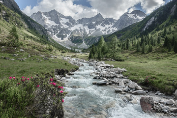 Obraz premium Panorama eines Wandergebietes in den Alpen mit Wildbach und Gletscher im Hintergrund farbreduzieret